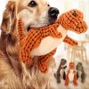 Dog Training Stuffed Dinosaur Sounding Dog Toy