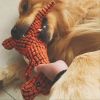 Dog Training Stuffed Dinosaur Sounding Dog Toy